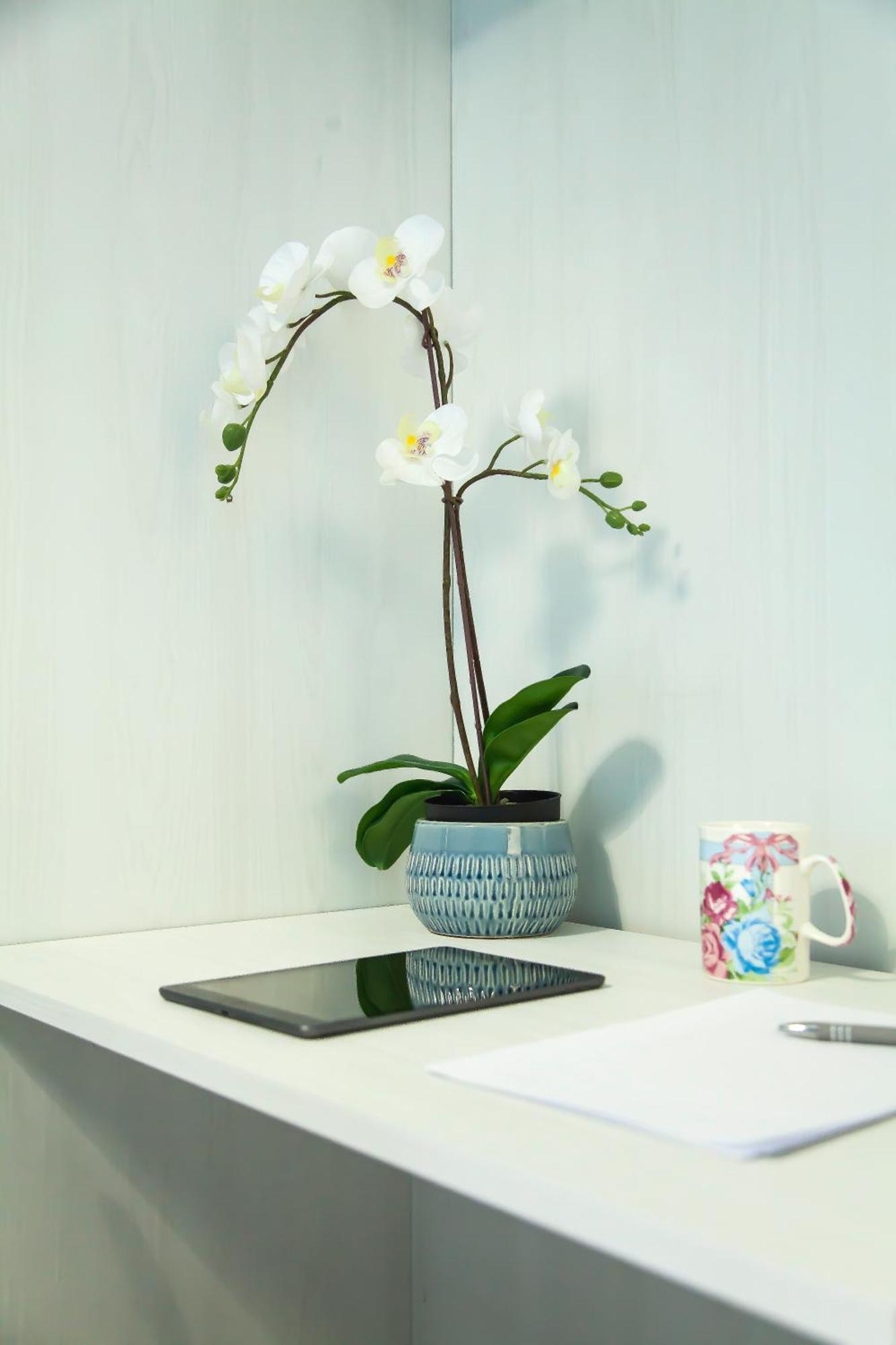 菲乌米奇诺Relais 1 Near The Sea Airport Sea Rome公寓 外观 照片